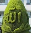 صورة العضو الرمزية